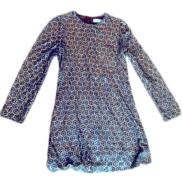 Zara Dresses & Skirts - Zara sequence silver dress must have size small zipper in the back